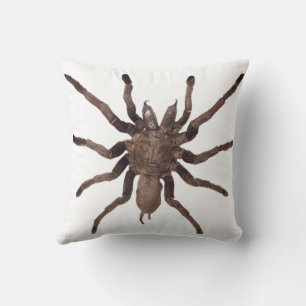Cojín decorativo araña