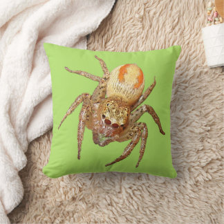 Cojín Decorativo Araña saltarina dimórfica (Maevia inclemens)
