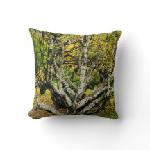 Árbol de abedul kareliano nudoso místico