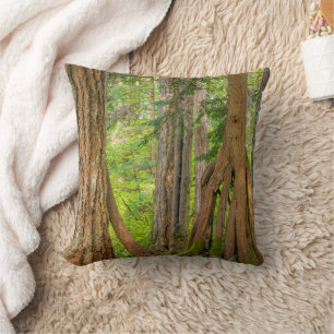 Cojín Decorativo Árbol de cedro rojo occidental   Estado de Washing