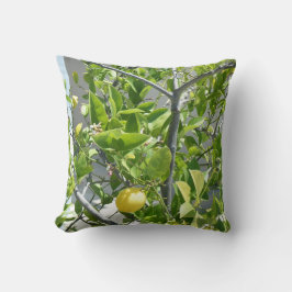 Cojín Decorativo ¡Árbol de limón muy hermoso en esta almohada!