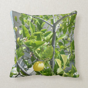 Cojín Decorativo ¡Árbol de limón muy hermoso en esta almohada!