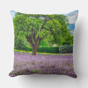 Cojín Decorativo Árbol en Campo de Lavanda, Francia