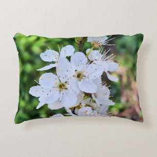 Cojín Decorativo Árbol en Flor en Rumania en Primavera – Fotografía