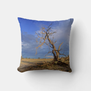Cojín Decorativo árbol Espina de Camello Muerto (Acacia Erioloba)