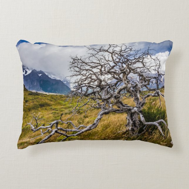 Cojín Decorativo Árbol quemado, Torres del Paine, Chile (Anverso)
