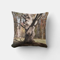 Árbol raro