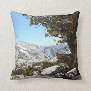 Cojín Decorativo Árbol viejo en el parque nacional de Yosemite