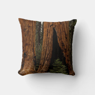 Cojín Decorativo Árboles de secoya, Parque Nacional Sequoia.