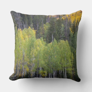 Cojín Decorativo Árboles del río Provo y álamos