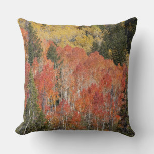 Cojín Decorativo Árboles del río Provo y álamos