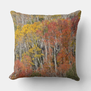 Cojín Decorativo Árboles del río Provo y álamos