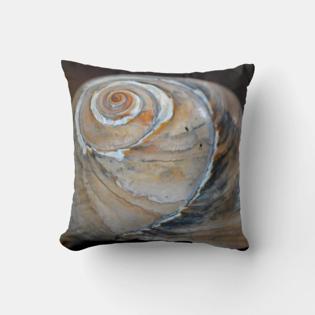 Cojín Decorativo Arco iris Moonsnail (Anverso)