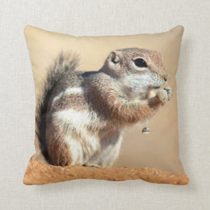 Cojín Decorativo ardilla de antílope de Harris (Ammospermophilus)