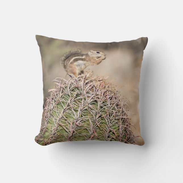 Cojín Decorativo Ardilla en cactus barril (Anverso)