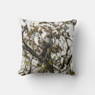 Cojín Decorativo Ardilla en un árbol