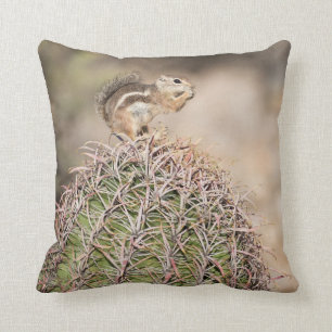 Cojín Decorativo Ardilla sobre el Cactus de barril