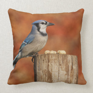 Cojín Decorativo Arrendajo azul
