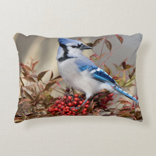 Cojín Decorativo Arrendajo azul en Bambú celestial Nandina