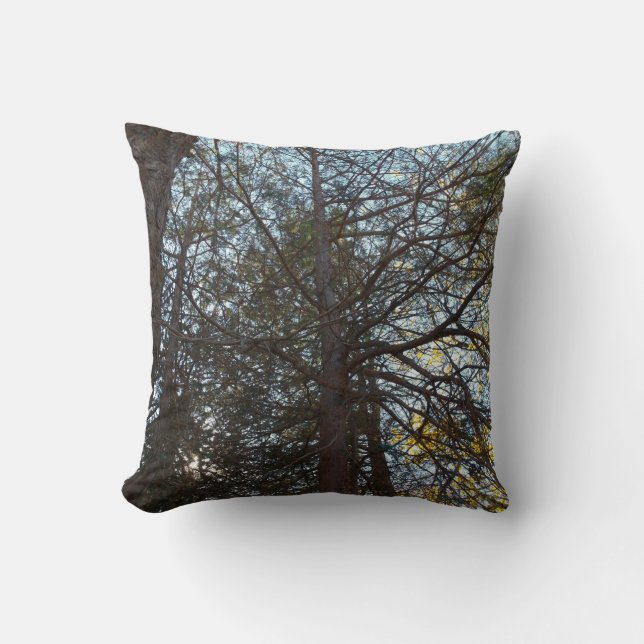 Cojín Decorativo Arriba por las ramas (Anverso)