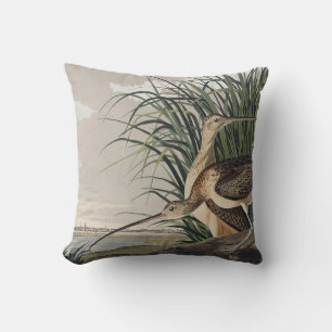 Cojín Decorativo Arte de ave de Audubon de Zarapito de Pico Largo V