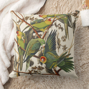 Cojín Decorativo Arte de Pájaros Vintage Audubon del Perico de Caro