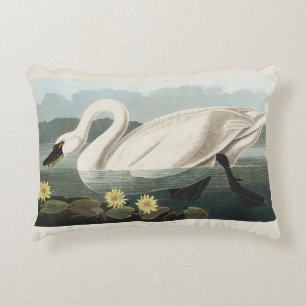 Cojín Decorativo Arte Vintage de Audubon Nenúfar Cisne Blanco