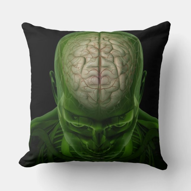 Cojín Decorativo Arterias del cerebro (Anverso)