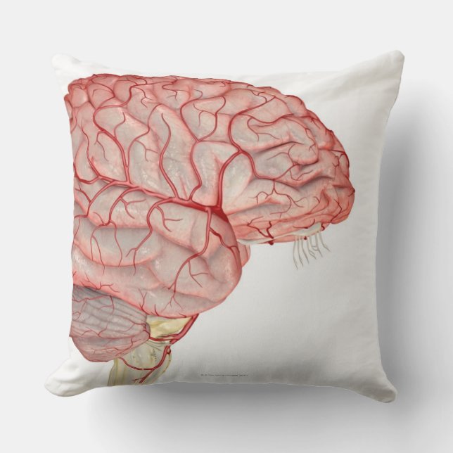 Cojín Decorativo Arterias del cerebro (Anverso)