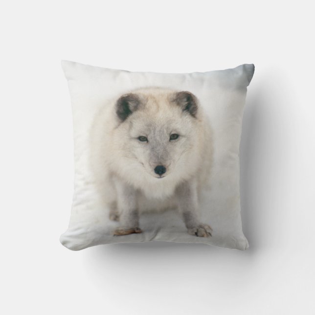 Cojín Decorativo Artic Fox (Anverso)
