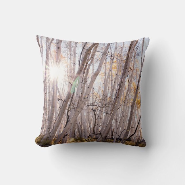 Cojín Decorativo Aspen Trees (Anverso)