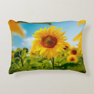 Cojín Decorativo Atractivo campo con flores de sol amarillas brilla