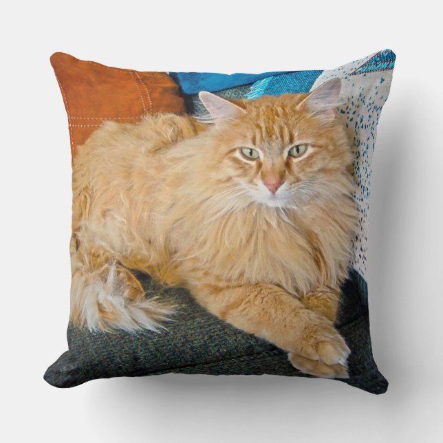 Cojín Decorativo Atrapado (Anverso)