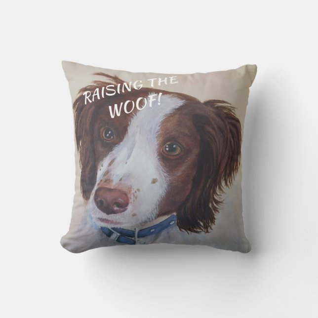 COJÍN DECORATIVO AUBURN SETTER MIX (Anverso)