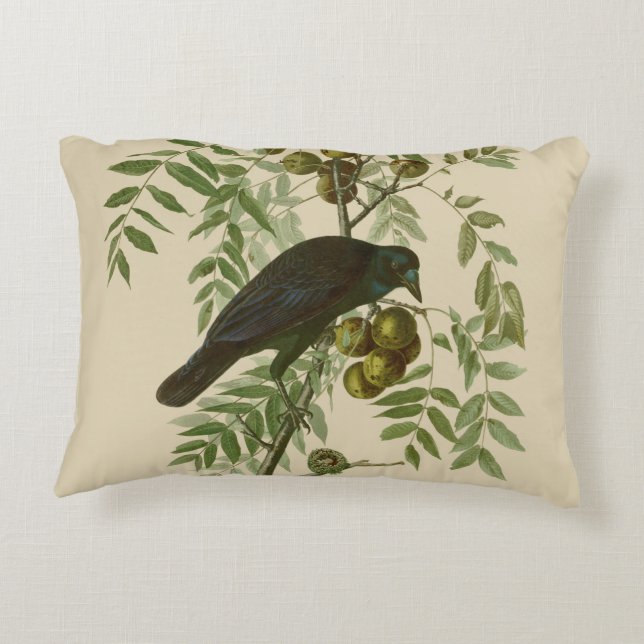 Cojín Decorativo Audubon American Crow Black Bird (Reverso)