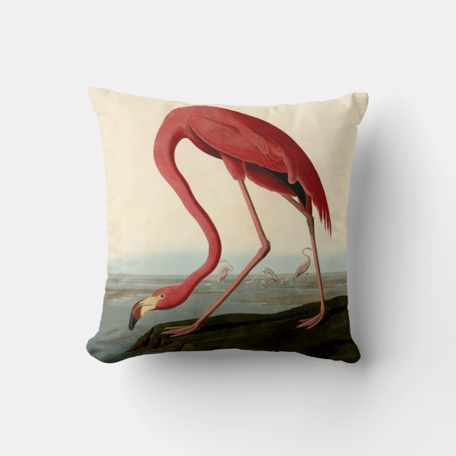 Cojín Decorativo Audubon American Flamingo (Anverso)