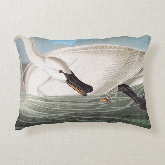 Cojín Decorativo Audubon: Cisne de trompetista (Anverso)