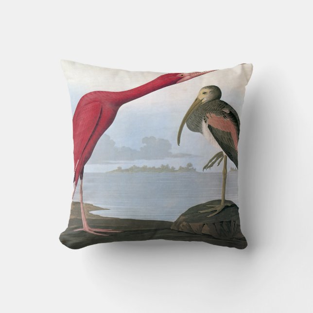 Cojín Decorativo Audubon: Escarlata Ibis (Anverso)