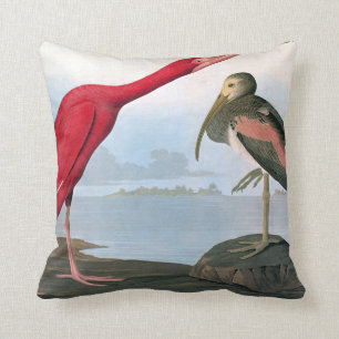 Cojín Decorativo Audubon: Escarlata Ibis