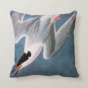 Cojín Decorativo Audubon: Golondrina de mar rosada