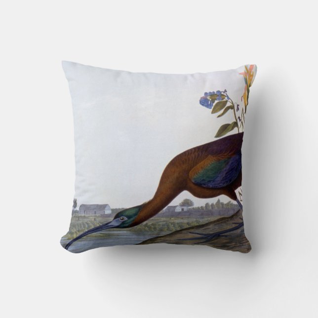 Cojín Decorativo Audubon: Ibis brillante (Anverso)