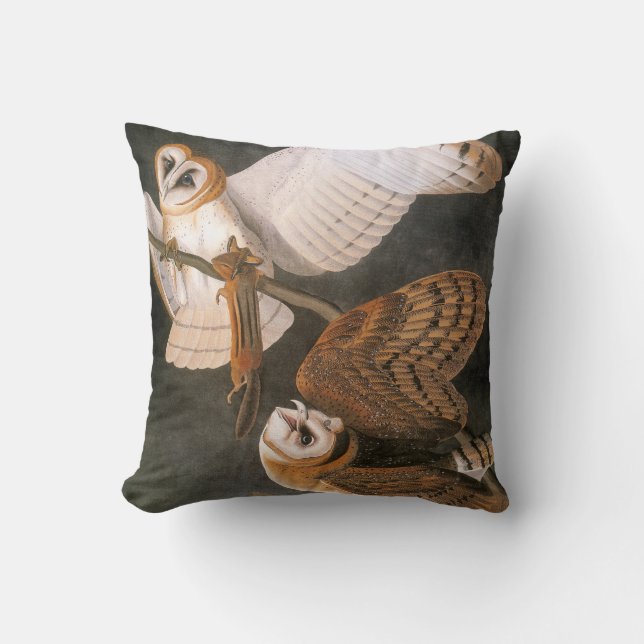 Cojín Decorativo Audubon: Lechuza común (Anverso)