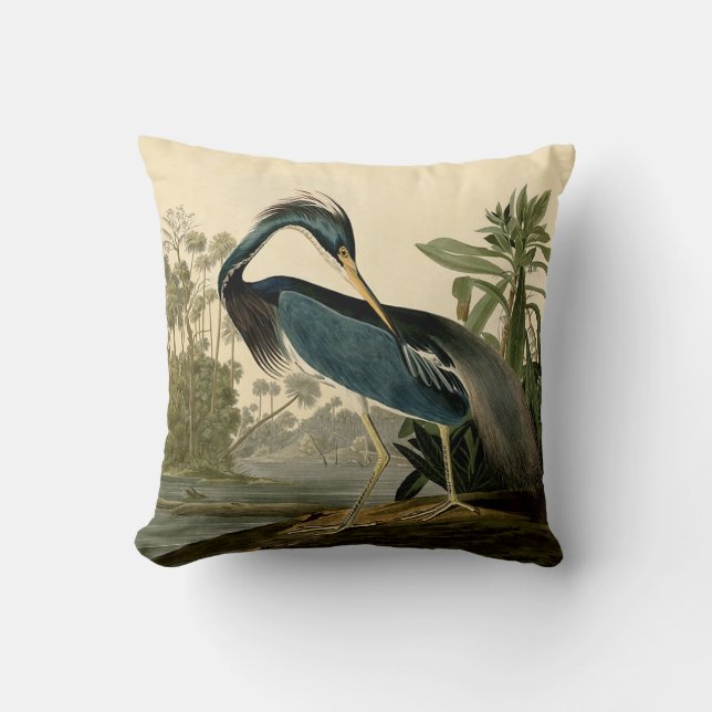 Cojín Decorativo Audubon Louisiana Heron Birds America Art (Anverso)