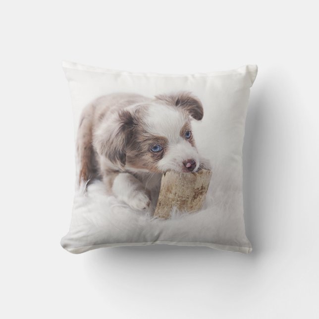 Cojín Decorativo australiana red merle pup (Anverso)