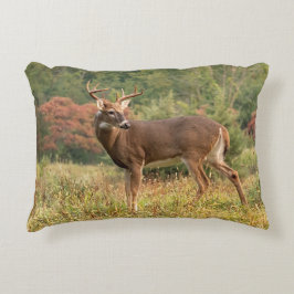 Cojín Decorativo Autumn Whitetail Buck