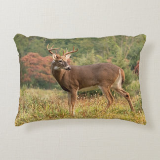 Cojín Decorativo Autumn Whitetail Buck