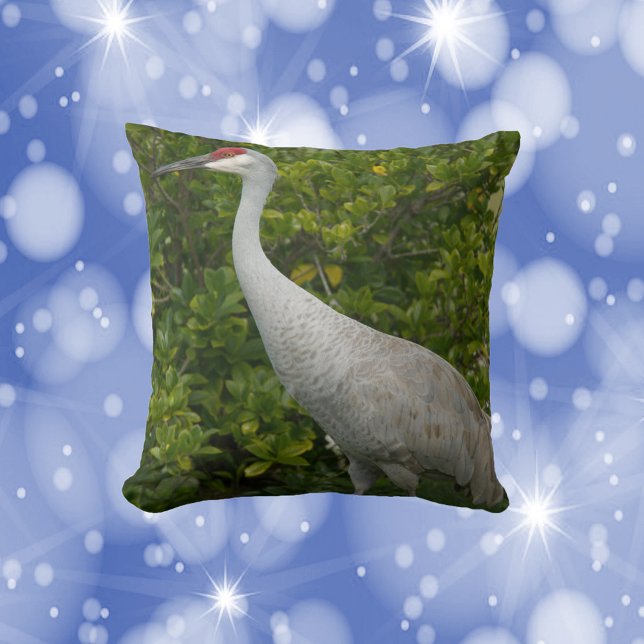 Cojín Decorativo Ave grúa de arena frente a la foto verde (A throw pillow featuring a photo of a sandhill crane bird.)