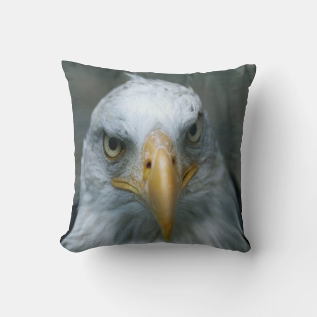 Cojín Decorativo Ave rapaz #21-Bald Eagle (Anverso)