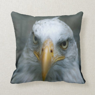 Cojín Decorativo Ave rapaz #21-Bald Eagle