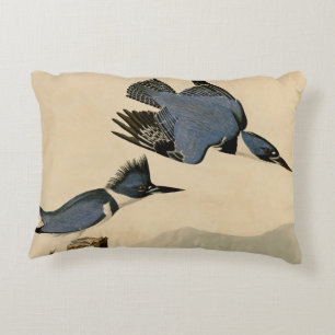 Cojín Decorativo Ave salvaje Audubon Belt Kingfisher